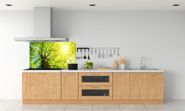 Spatscherm keuken Kastanje in de lente