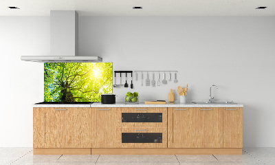 Spatscherm keuken Kastanje in de lente