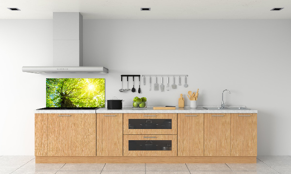 Spatscherm keuken Kastanje in de lente