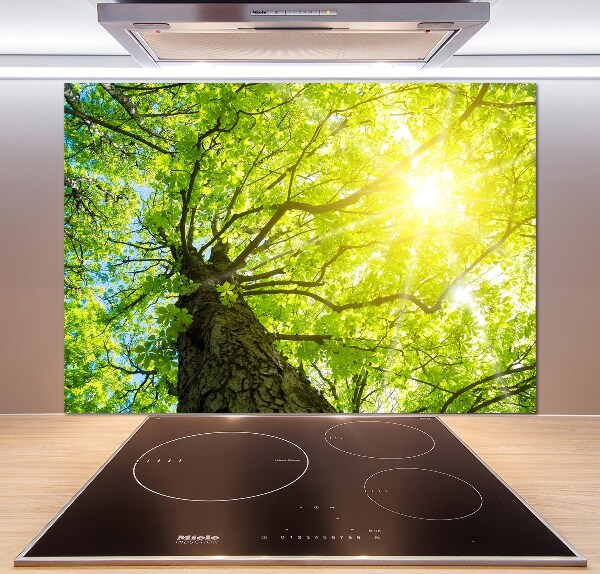 Spatscherm keuken Kastanje in de lente