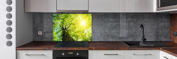 Spatscherm keuken Kastanje in de lente