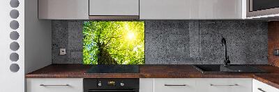 Spatscherm keuken Kastanje in de lente