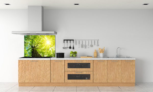Spatscherm keuken Kastanje in de lente