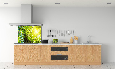 Spatscherm keuken Kastanje in de lente