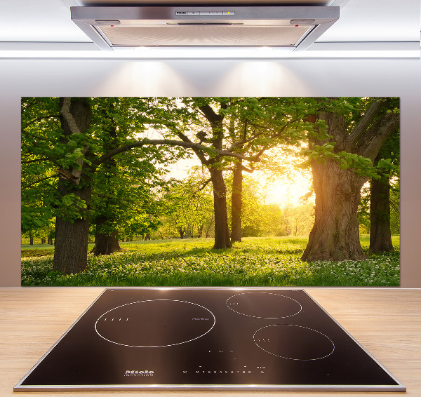 Spatplaat keuken Bomen in het park