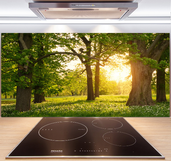 Spatplaat keuken Bomen in het park