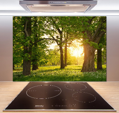 Spatplaat keuken Bomen in het park