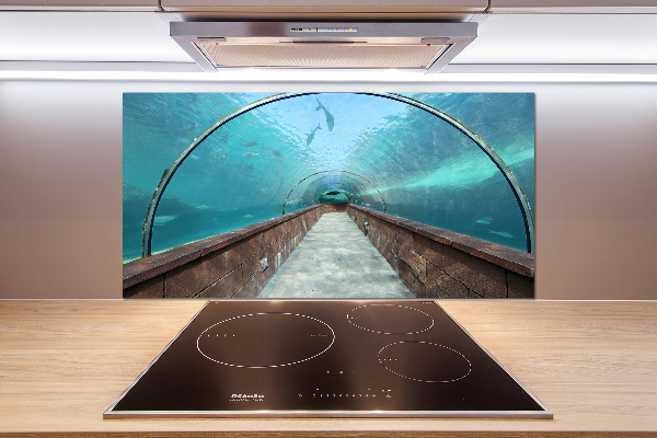 Keuken achterwand Aquariumtunnel