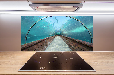 Keuken achterwand Aquariumtunnel