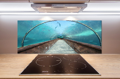 Keuken achterwand Aquariumtunnel