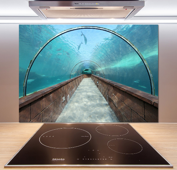 Keuken achterwand Aquariumtunnel