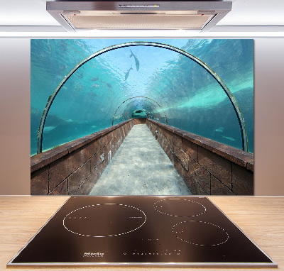Keuken achterwand Aquariumtunnel