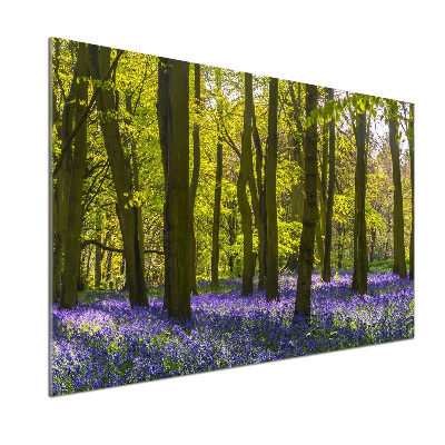 Achterwand keuken Bos in de lente