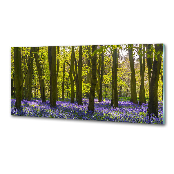 Achterwand keuken Bos in de lente