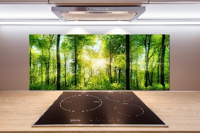 Spatscherm keuken Bos in de zon