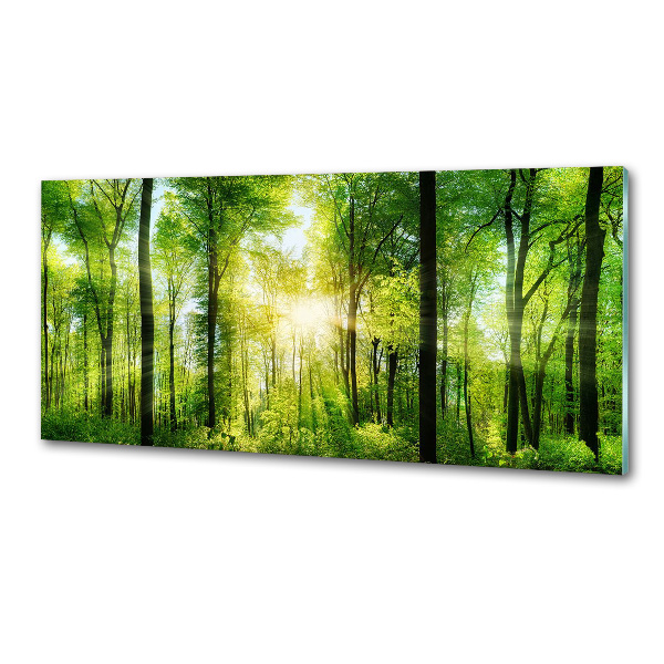 Spatscherm keuken Bos in de zon