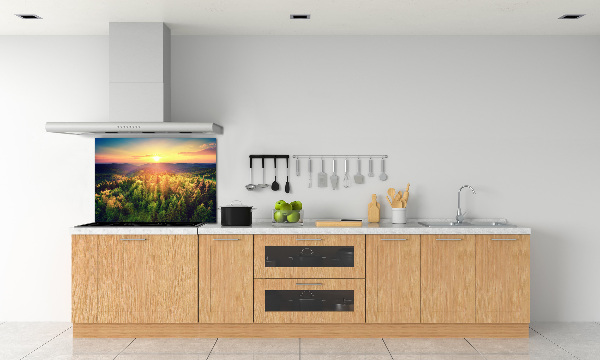 Spatplaat keuken Zonsondergang in het bos