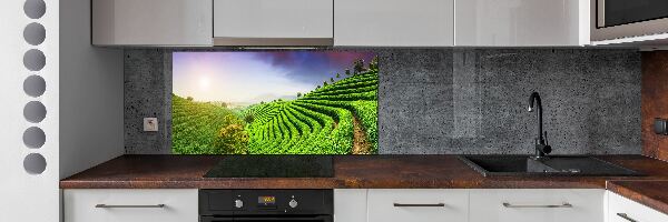 Panel do kuchni Plantacja herbaty