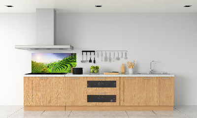 Panel do kuchni Plantacja herbaty