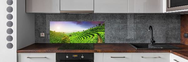 Panel do kuchni Plantacja herbaty