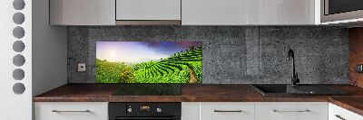 Keuken achterwand theeplantage
