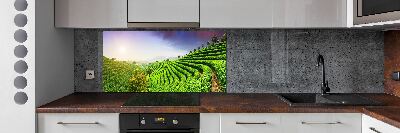 Keuken achterwand theeplantage