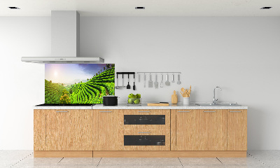 Panel do kuchni Plantacja herbaty