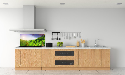 Panel do kuchni Plantacja herbaty