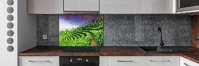 Keuken achterwand theeplantage