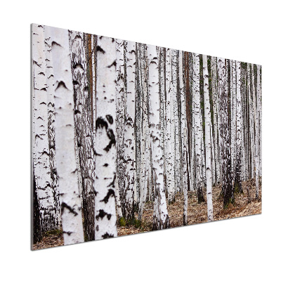 Panel szklany do kuchni Brzoza