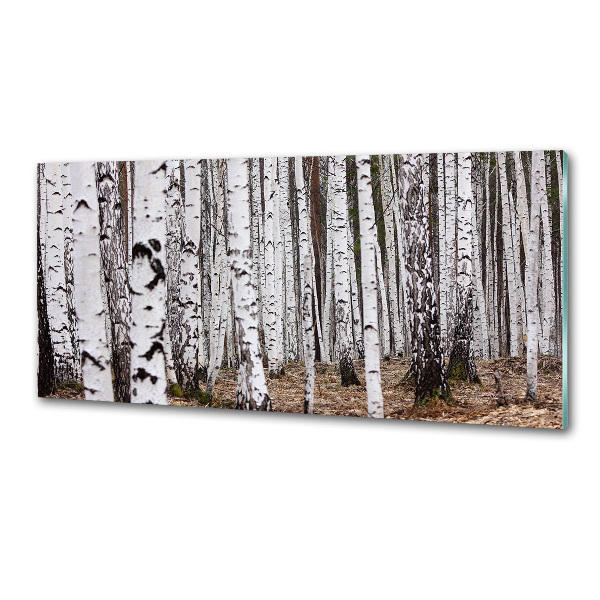 Panel szklany do kuchni Brzoza