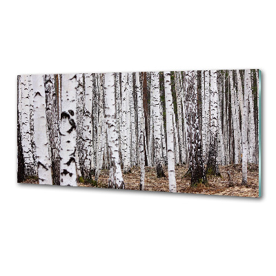 Panel szklany do kuchni Brzoza