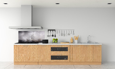 Spatplaat keuken Paardenbloemzaden