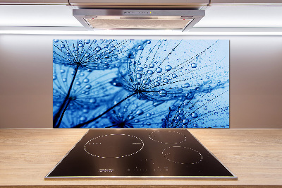 Glazen achterwand keuken Paardenbloemzaden