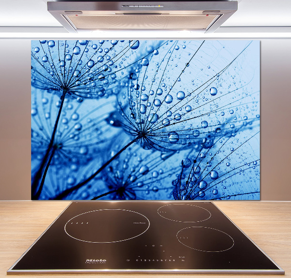 Glazen achterwand keuken Paardenbloemzaden