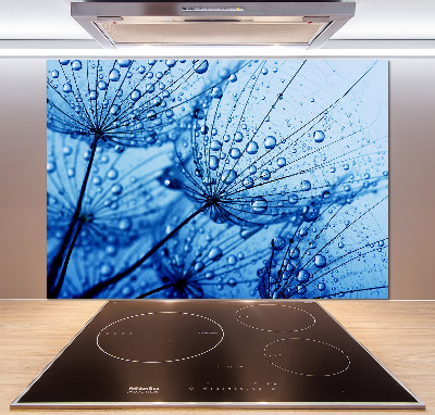 Glazen achterwand keuken Paardenbloemzaden