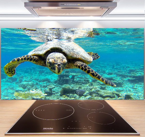 Achterwand keuken Zeeschildpad