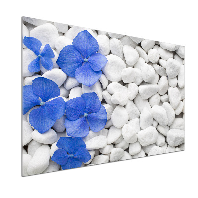 Spatplaat keuken Hortensia