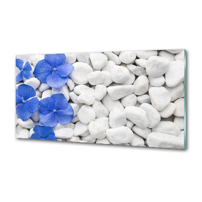 Spatplaat keuken Hortensia