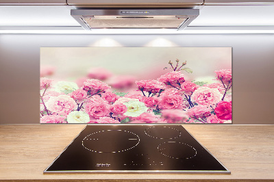 Keuken achterwand Wilde rozenbloemen