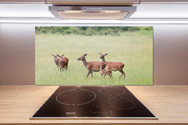 Spatplaat keuken Ree met jongen