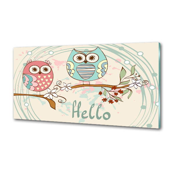 Keuken achterwand Uilen