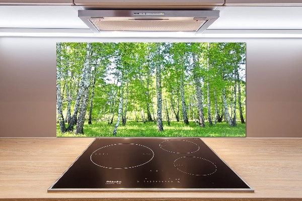 Glazen achterwand keuken Berken