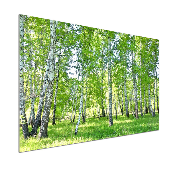 Glazen achterwand keuken Berken