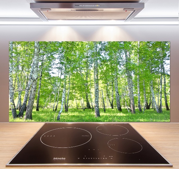 Glazen achterwand keuken Berken