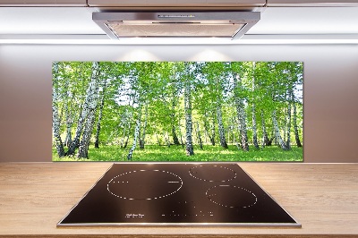 Glazen achterwand keuken Berken