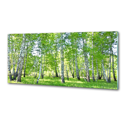 Glazen achterwand keuken Berken