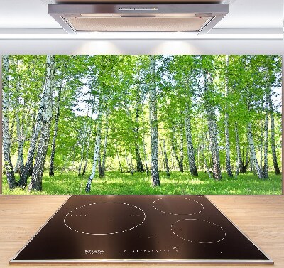 Glazen achterwand keuken Berken