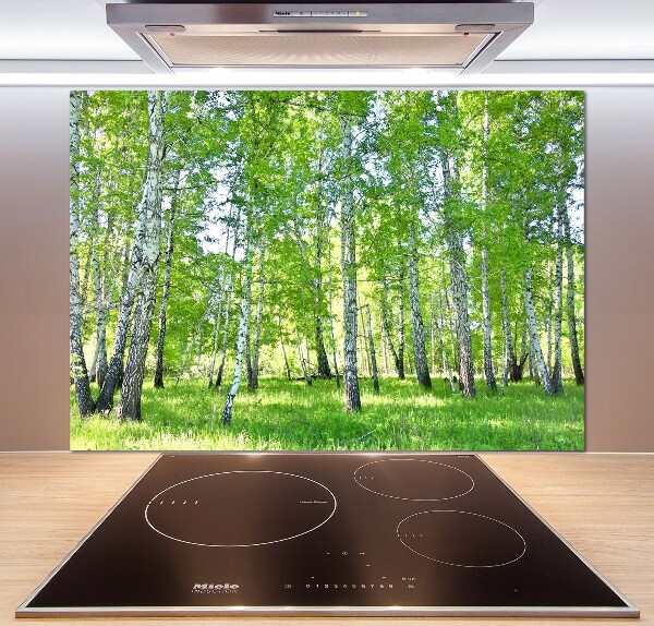 Glazen achterwand keuken Berken