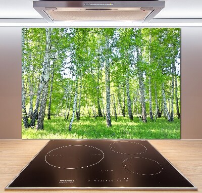 Glazen achterwand keuken Berken